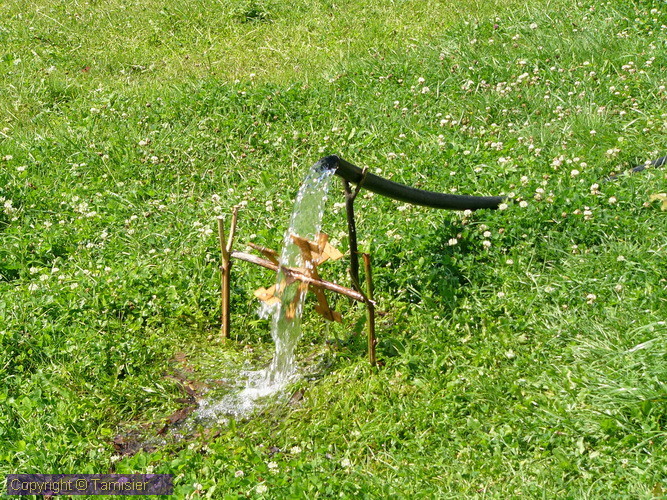2008-08-26 13-55-33.JPG - 2880-RO>Arieseni--Pensiune Sofy